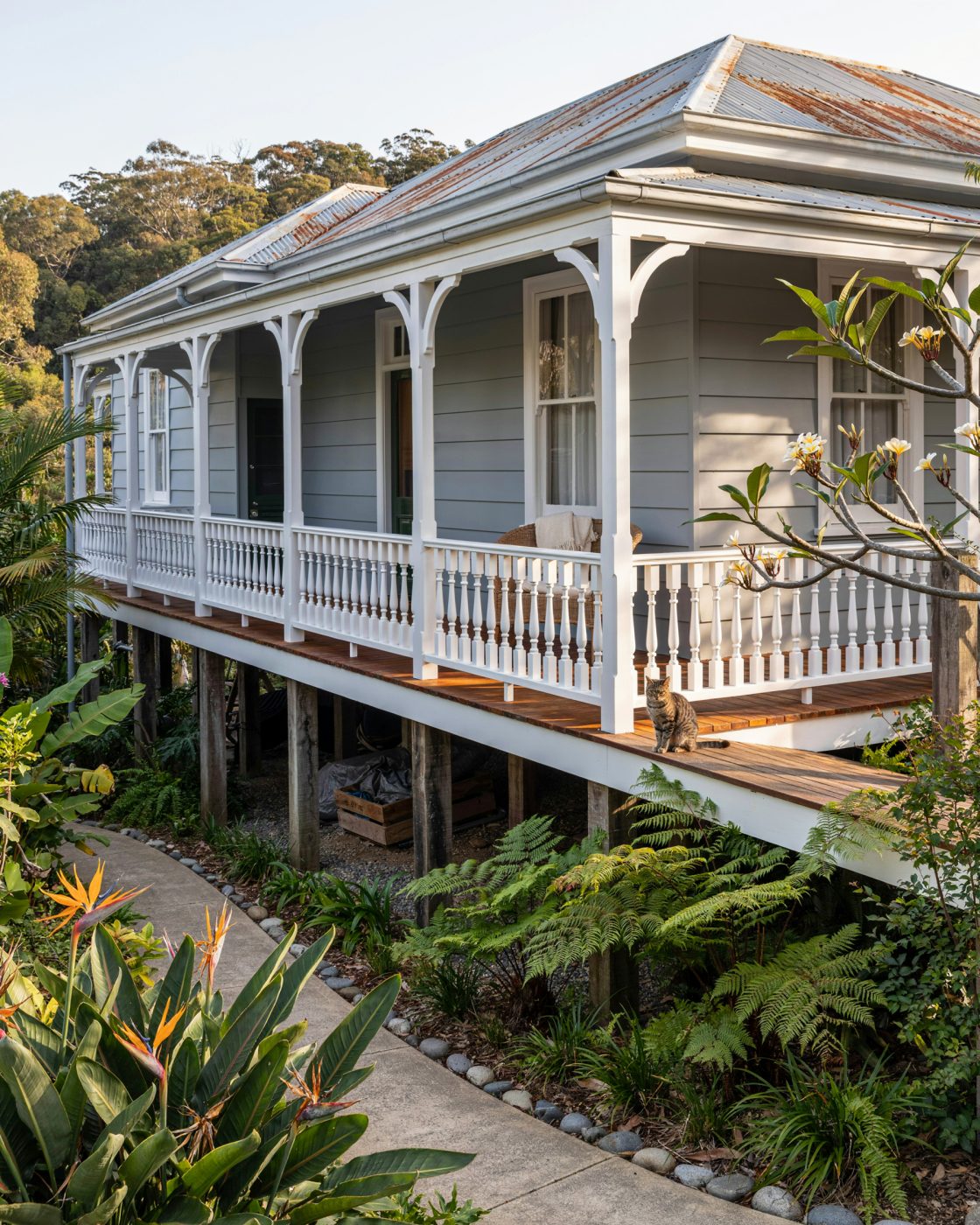 Freshly painted Queenslander house in late afternoon golden light on the Sunshine Coast