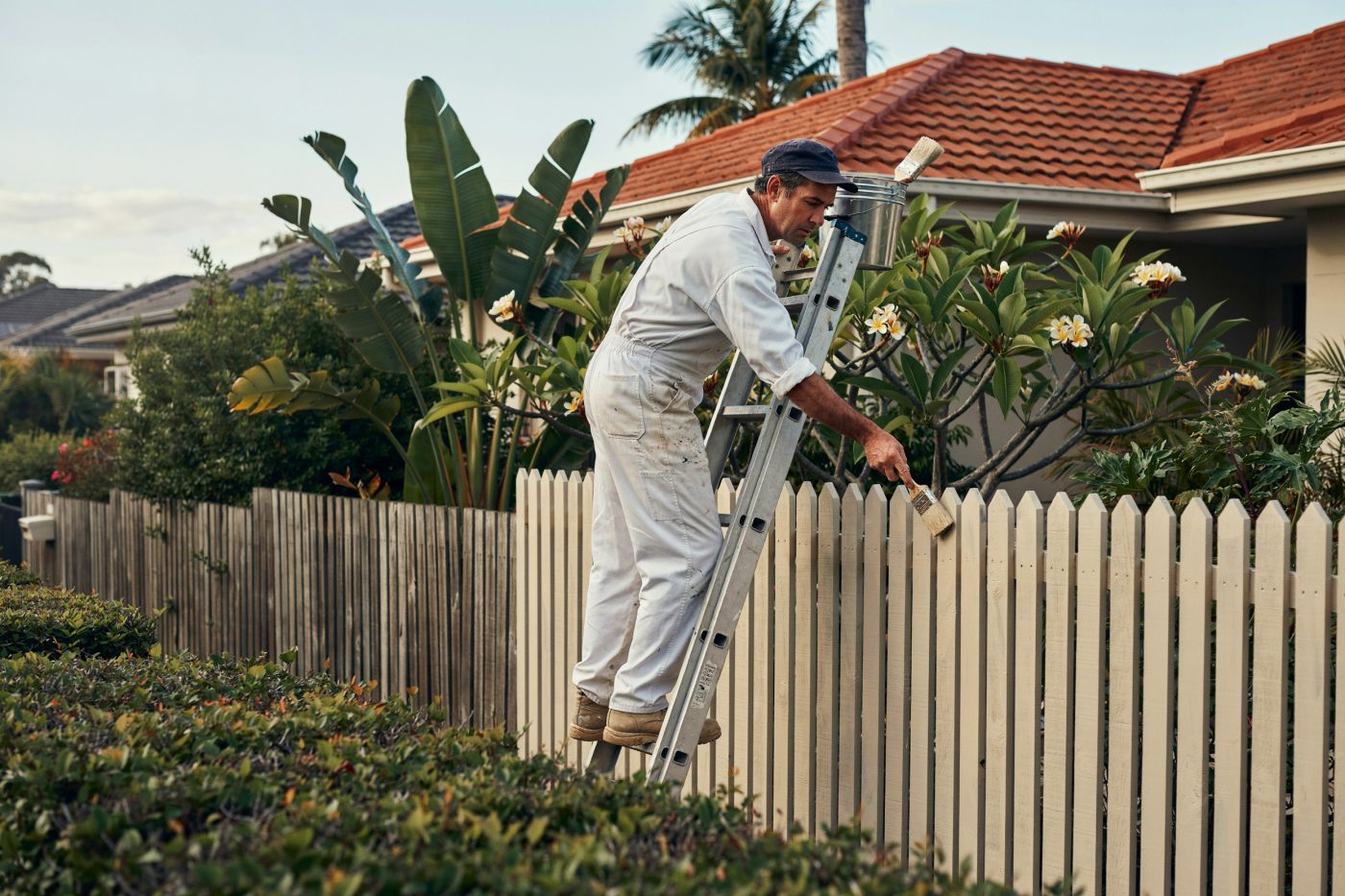 Painter applying fresh paint to a timber fence with lush garden behind